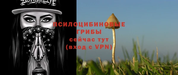 прущая мука Заводоуковск