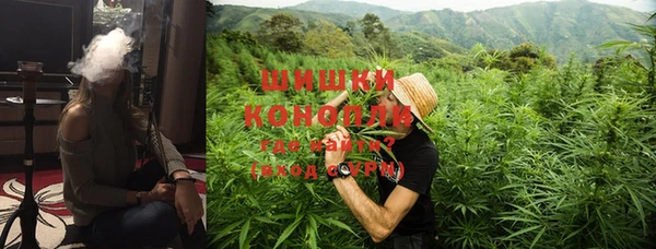 ГАЛЛЮЦИНОГЕННЫЕ ГРИБЫ Заволжск
