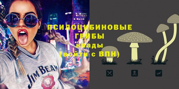 ГАЛЛЮЦИНОГЕННЫЕ ГРИБЫ Заволжск